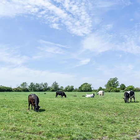 Green Acre Farm Ely Εξωτερικό φωτογραφία