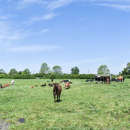 Green Acre Farm Ely Εξωτερικό φωτογραφία