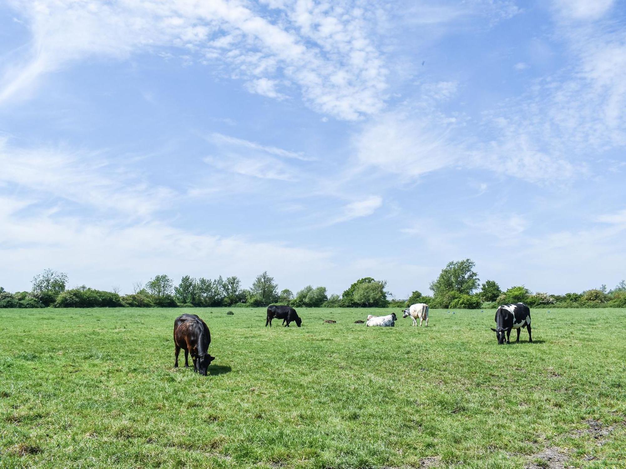 Green Acre Farm Ely Εξωτερικό φωτογραφία