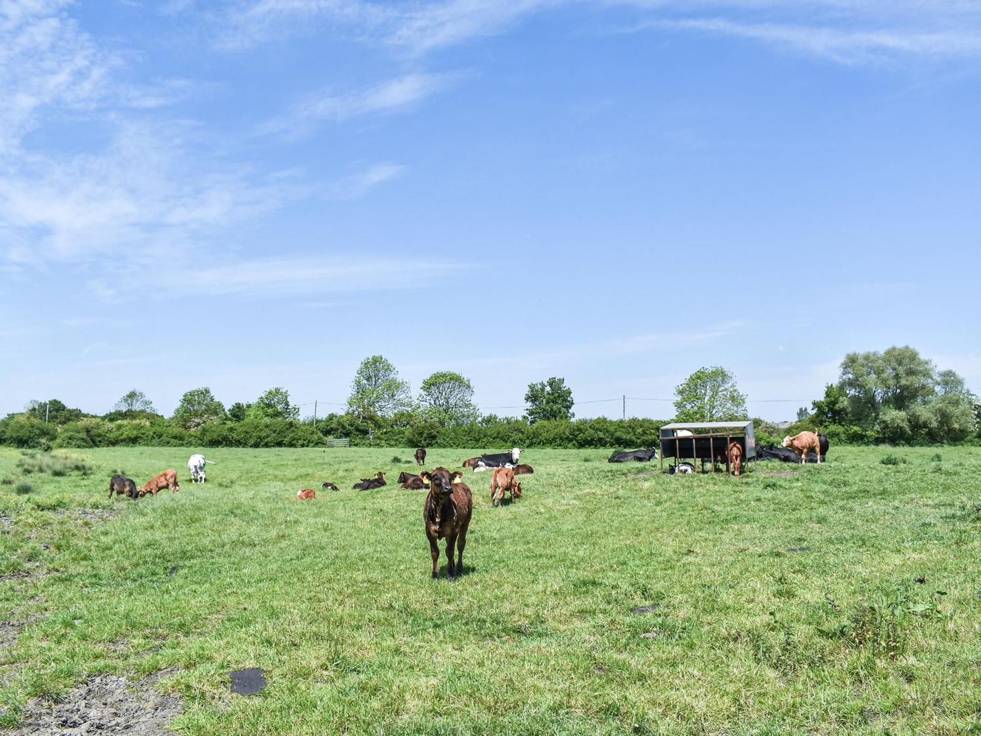 Green Acre Farm Ely Εξωτερικό φωτογραφία